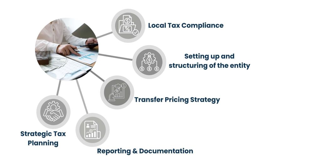 What Offshore Tax Accountants Really Do